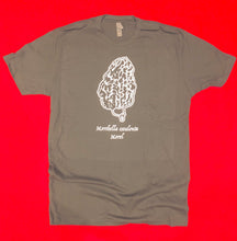 Load image into Gallery viewer, Morel Esculenta - Next Level Tee